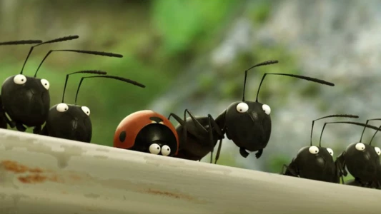 Minuscule: Valley of the Lost Ants