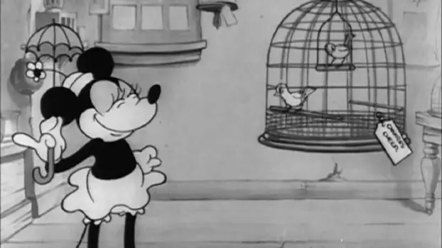 Mickey Mouse: La tienda de mascotas